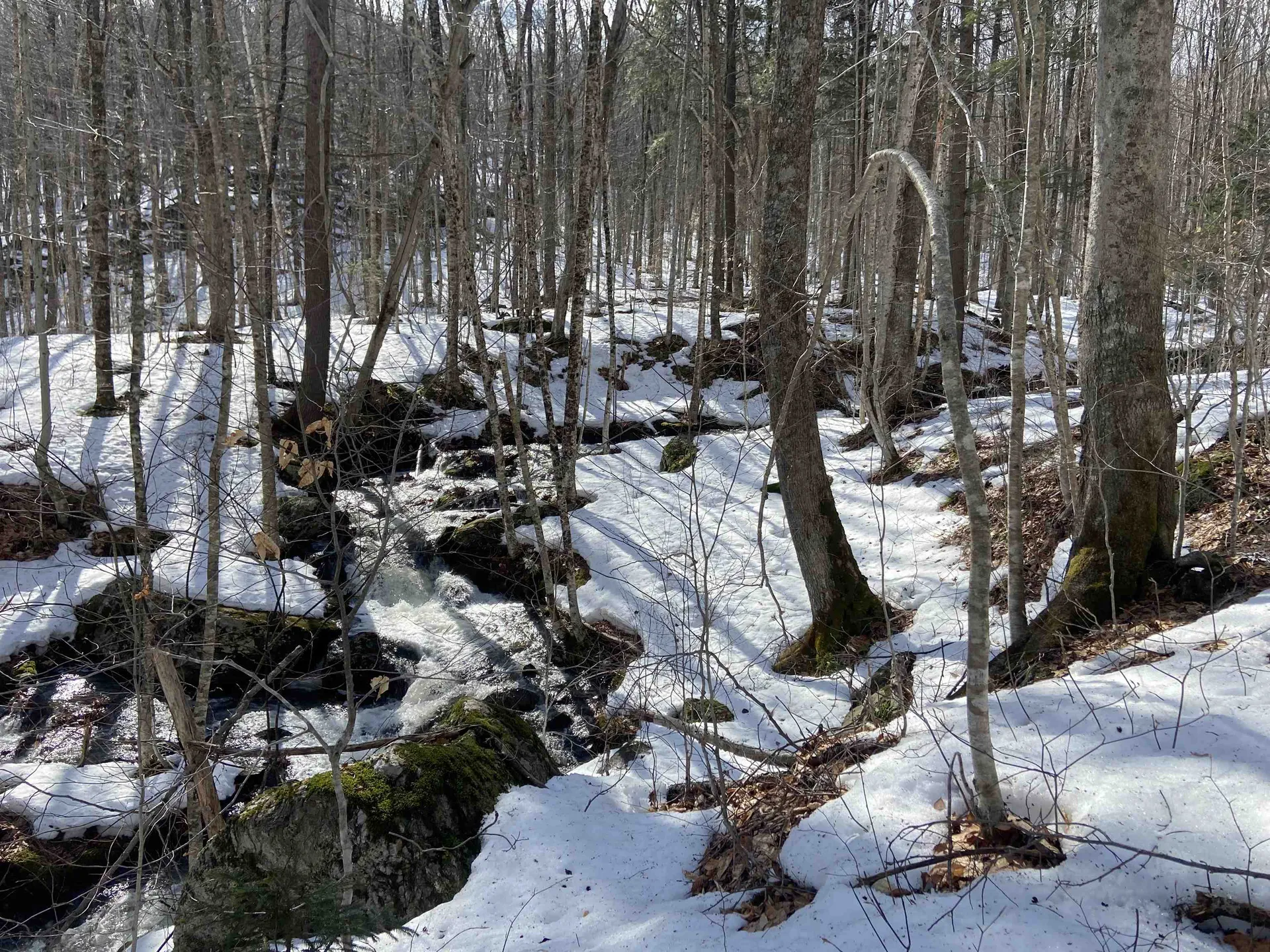 Lot 1 Marshall Road Duxbury VT 05676