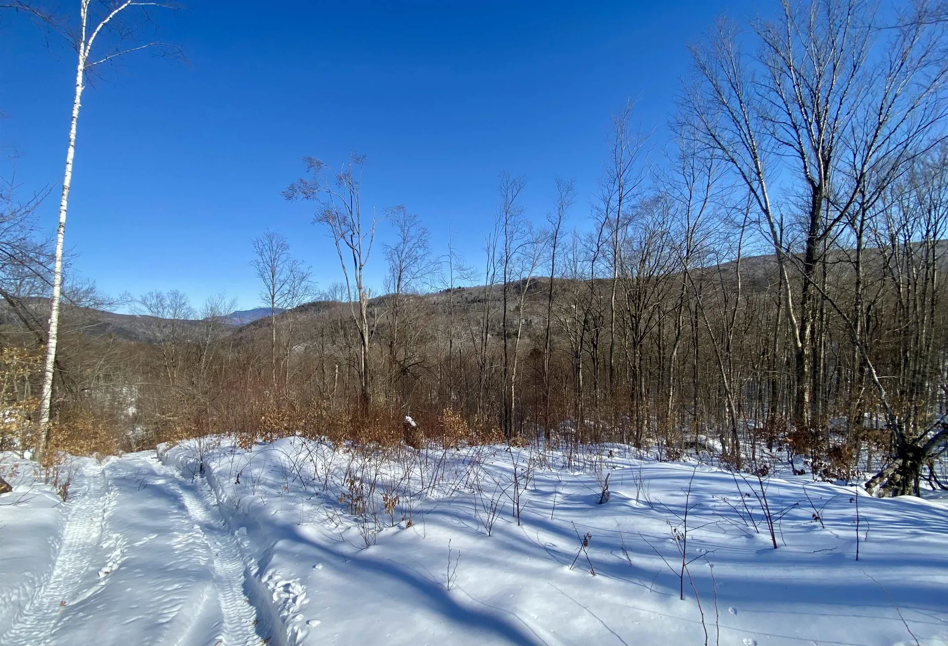 Lot 1 Marshall Road Duxbury VT 05676