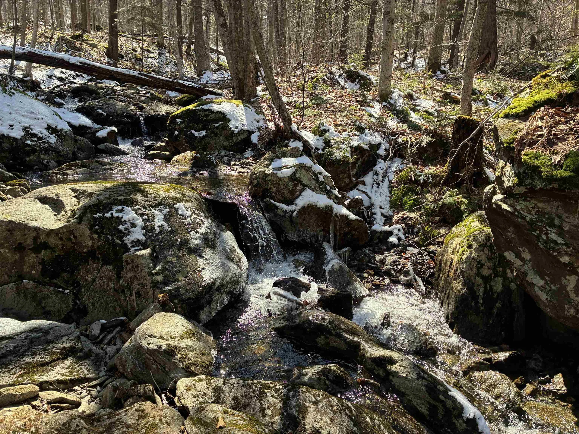 Lot 1 Marshall Road Duxbury VT 05676