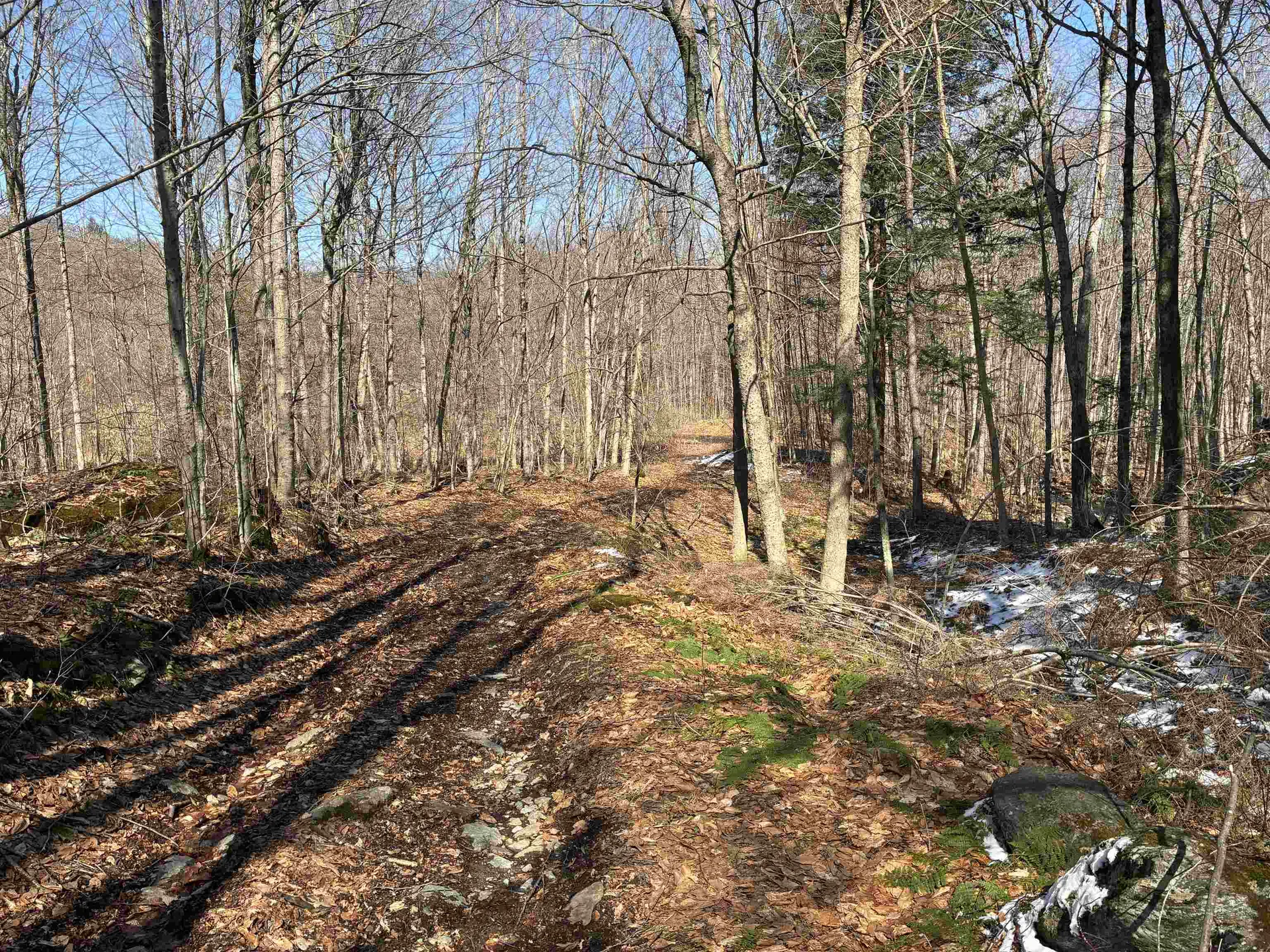 Lot 1 Marshall Road Duxbury VT 05676