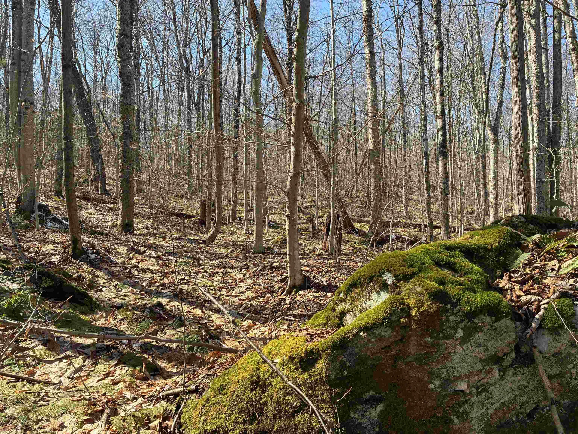 Lot 1 Marshall Road Duxbury VT 05676