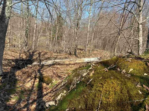 Lot 1 Marshall Road Duxbury VT 05676