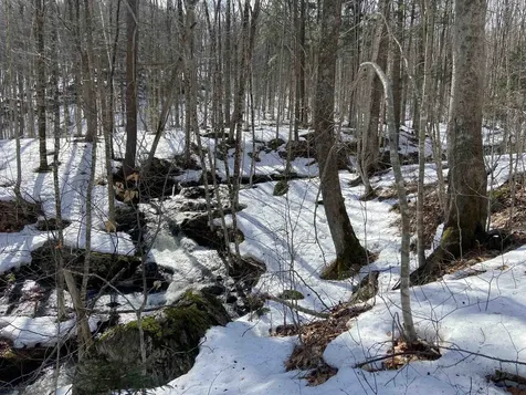 Lot 1 Marshall Road Duxbury VT 05676