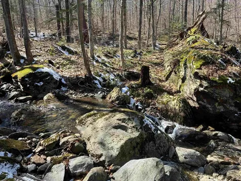 Lot 1 Marshall Road Duxbury VT 05676