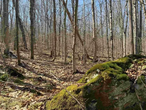Lot 1 Marshall Road Duxbury VT 05676