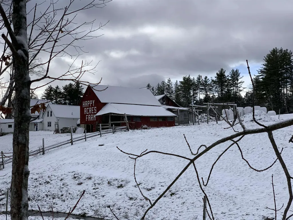 78 White Pines Road Reading VT 05062