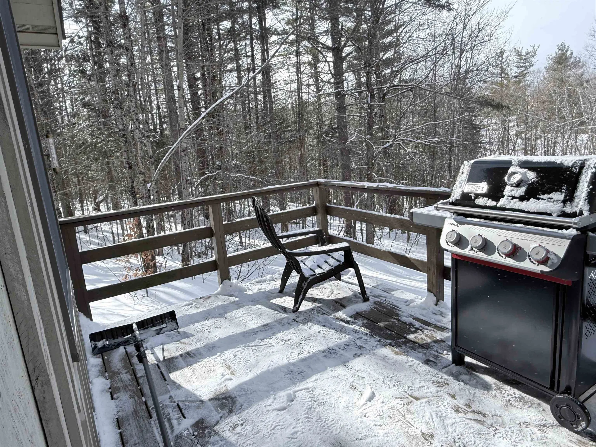 78 White Pines Road Reading VT 05062