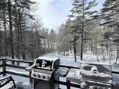78 White Pines Road Reading VT 05062