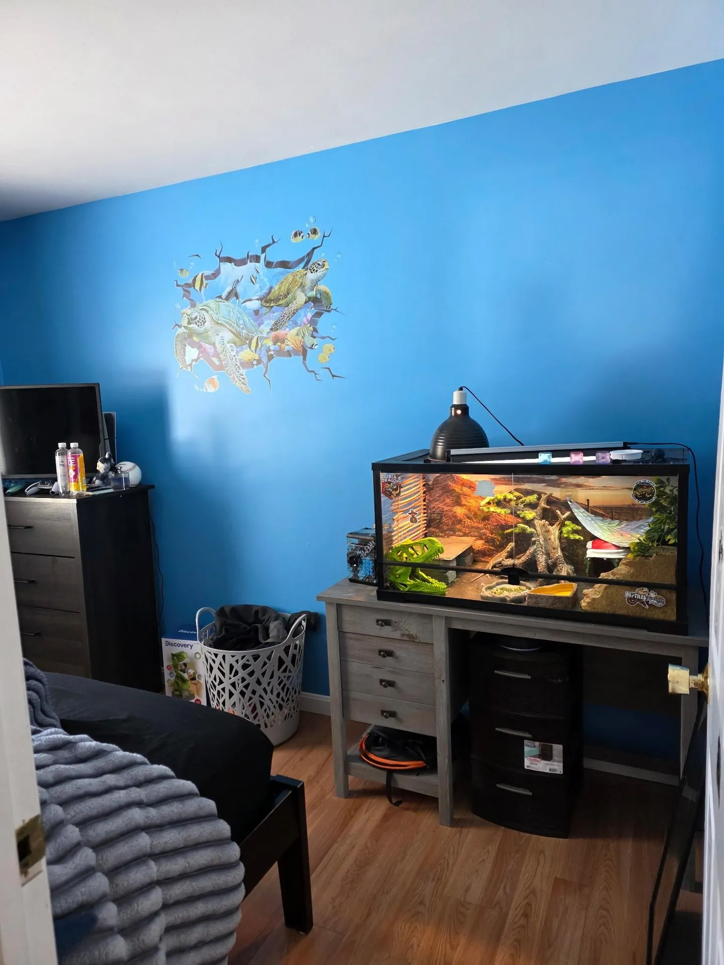 21 Leisure Drive Ossipee NH 03814