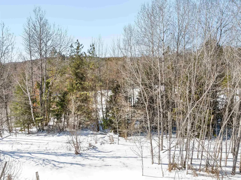 1135 Falls Bridge Road Williamstown VT 05679