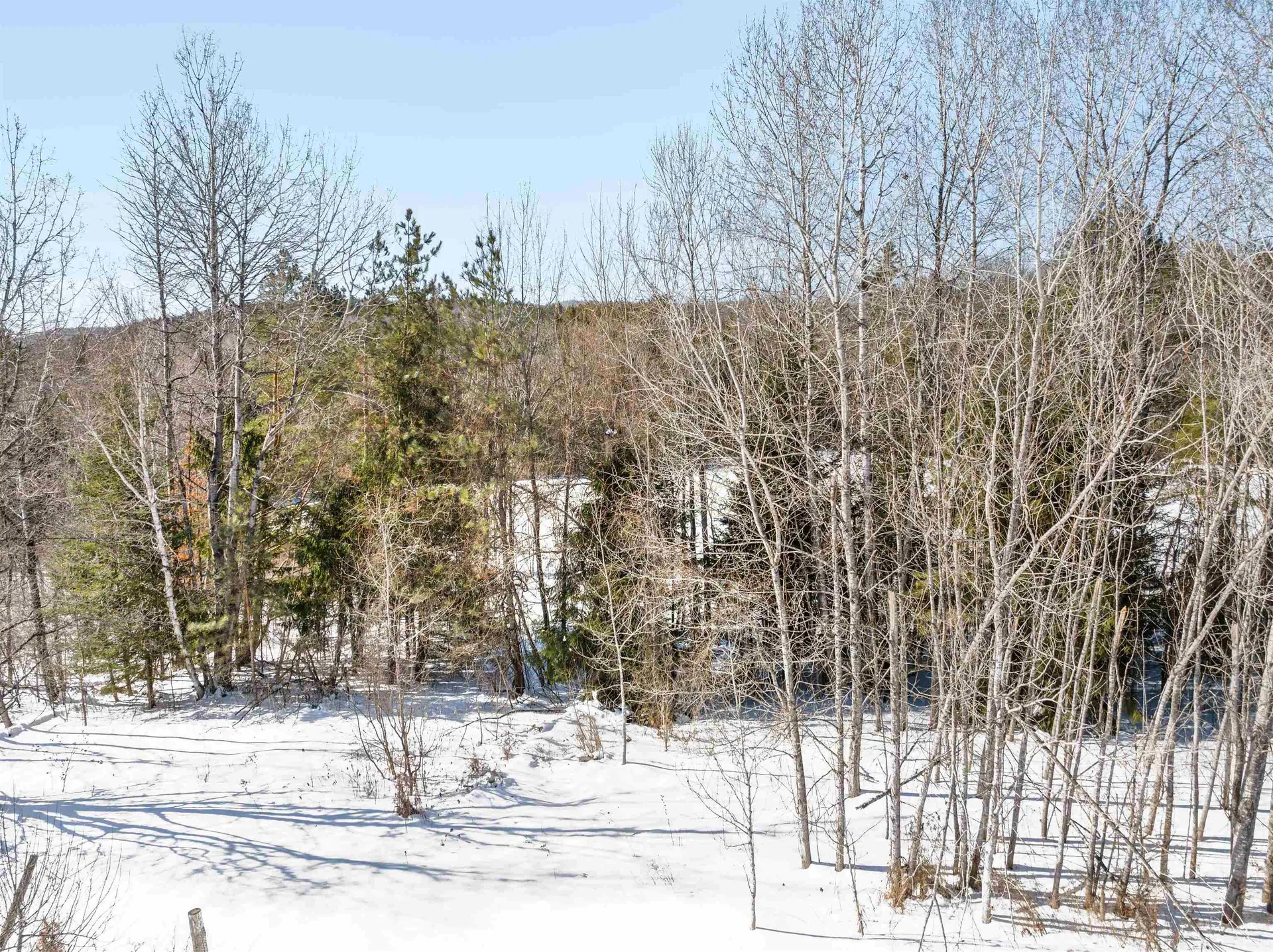 1135 Falls Bridge Road Williamstown VT 05679
