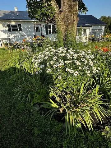 1135 Falls Bridge Road Williamstown VT 05679