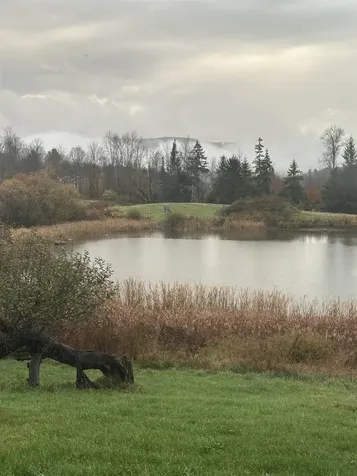 1135 Falls Bridge Road Williamstown VT 05679