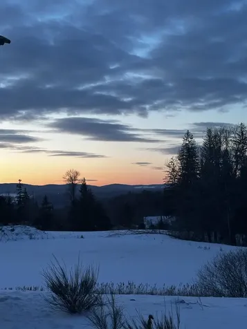 1135 Falls Bridge Road Williamstown VT 05679