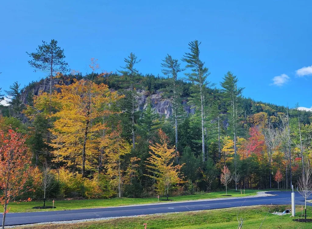 9 Lucy Brook Road Conway NH 03860