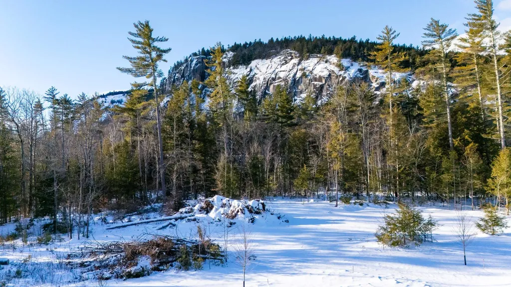 9 Lucy Brook Road Conway NH 03860