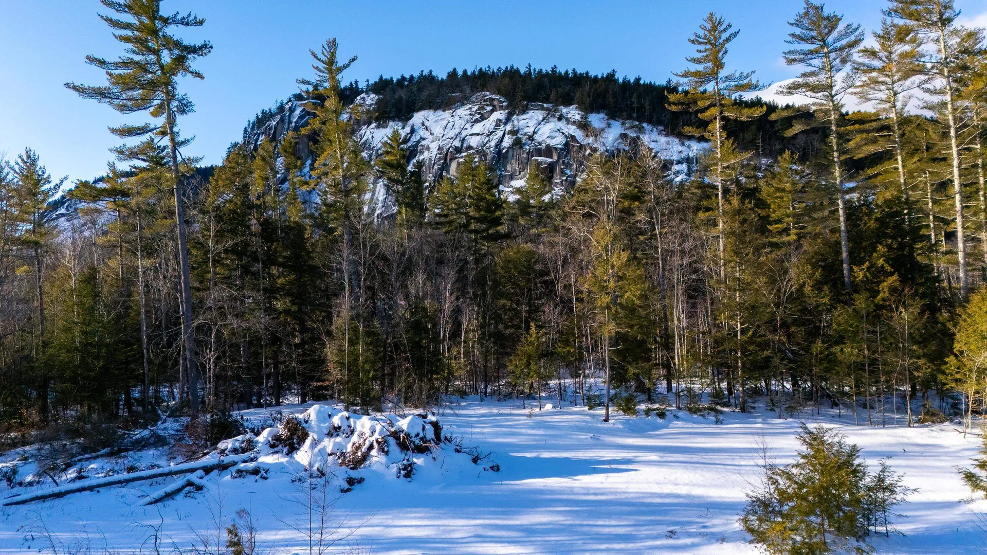 9 Lucy Brook Road Conway NH 03860