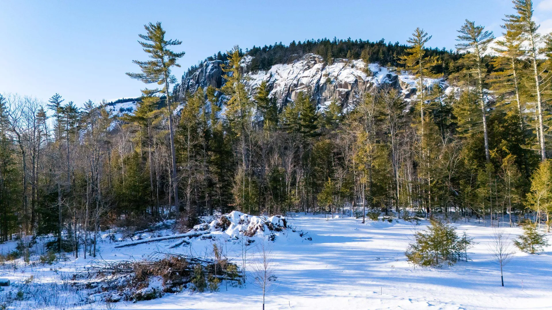 9 Lucy Brook Road Conway NH 03860