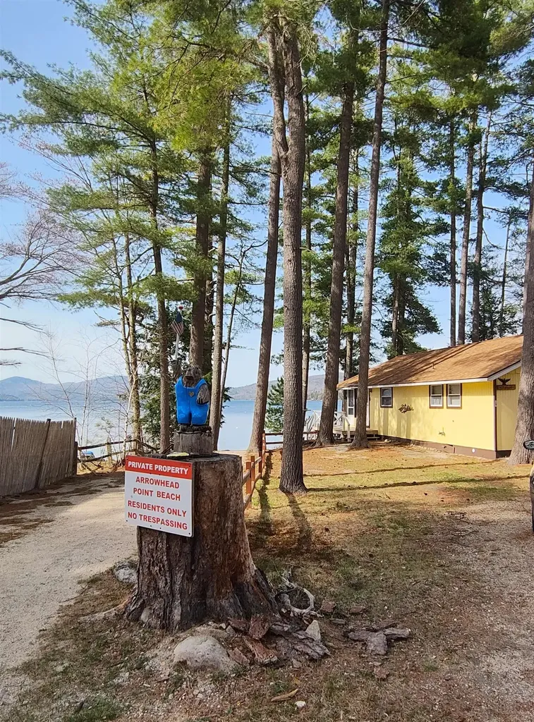 19 Arrowhead Point Road Bristol NH 03222