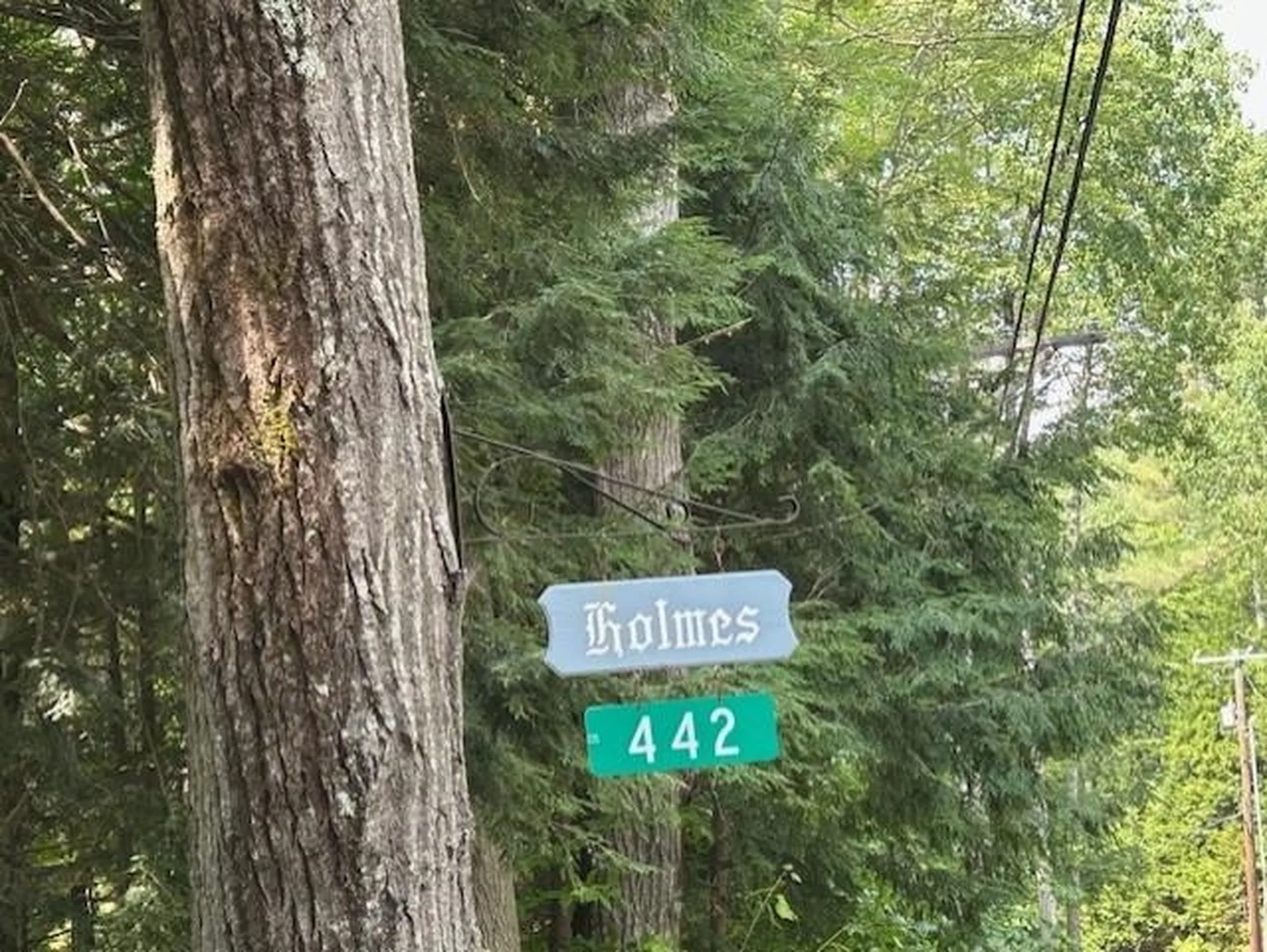 442 Jobs Creek Road Sunapee NH 03782