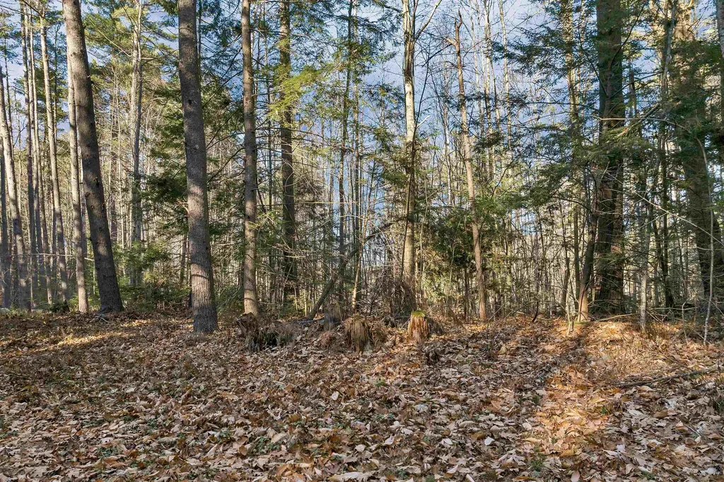 Camp Road Wolfeboro NH 03894