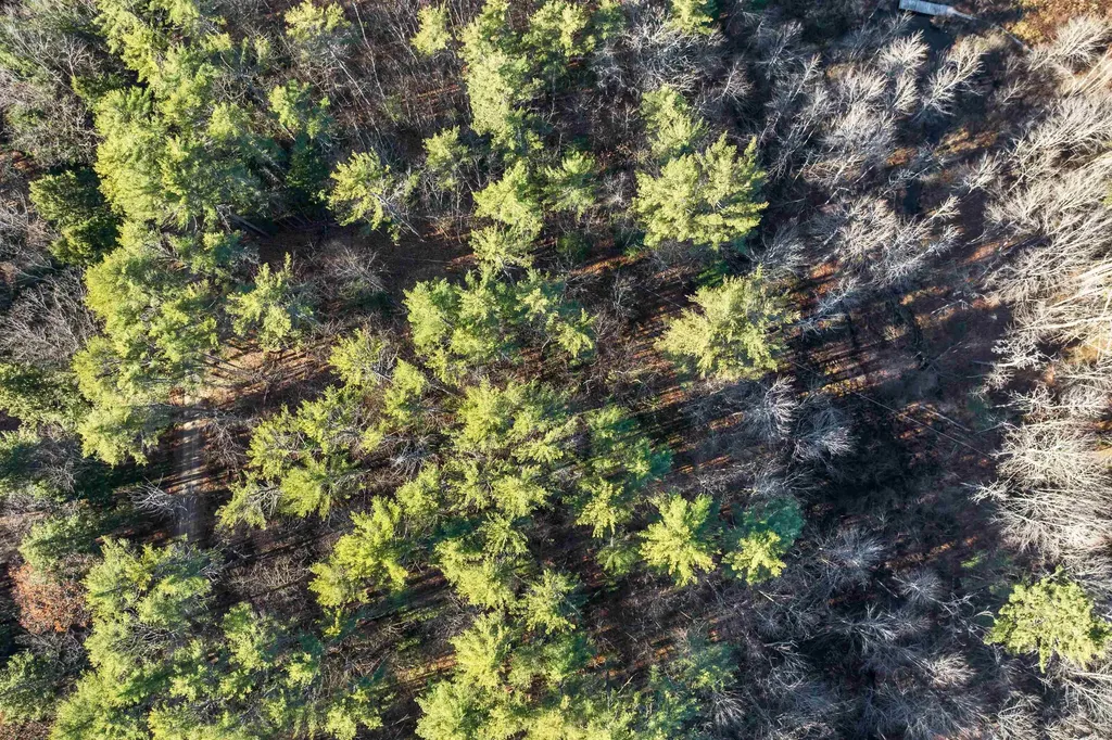 Camp Road Wolfeboro NH 03894