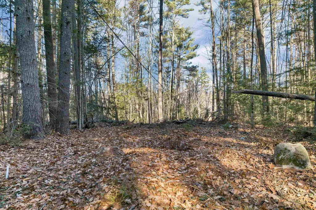 Camp Road Wolfeboro NH 03894