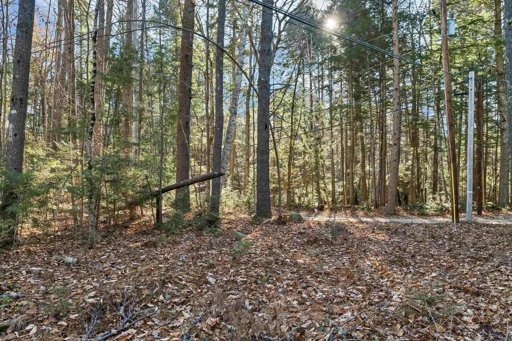 Camp Road Wolfeboro NH 03894