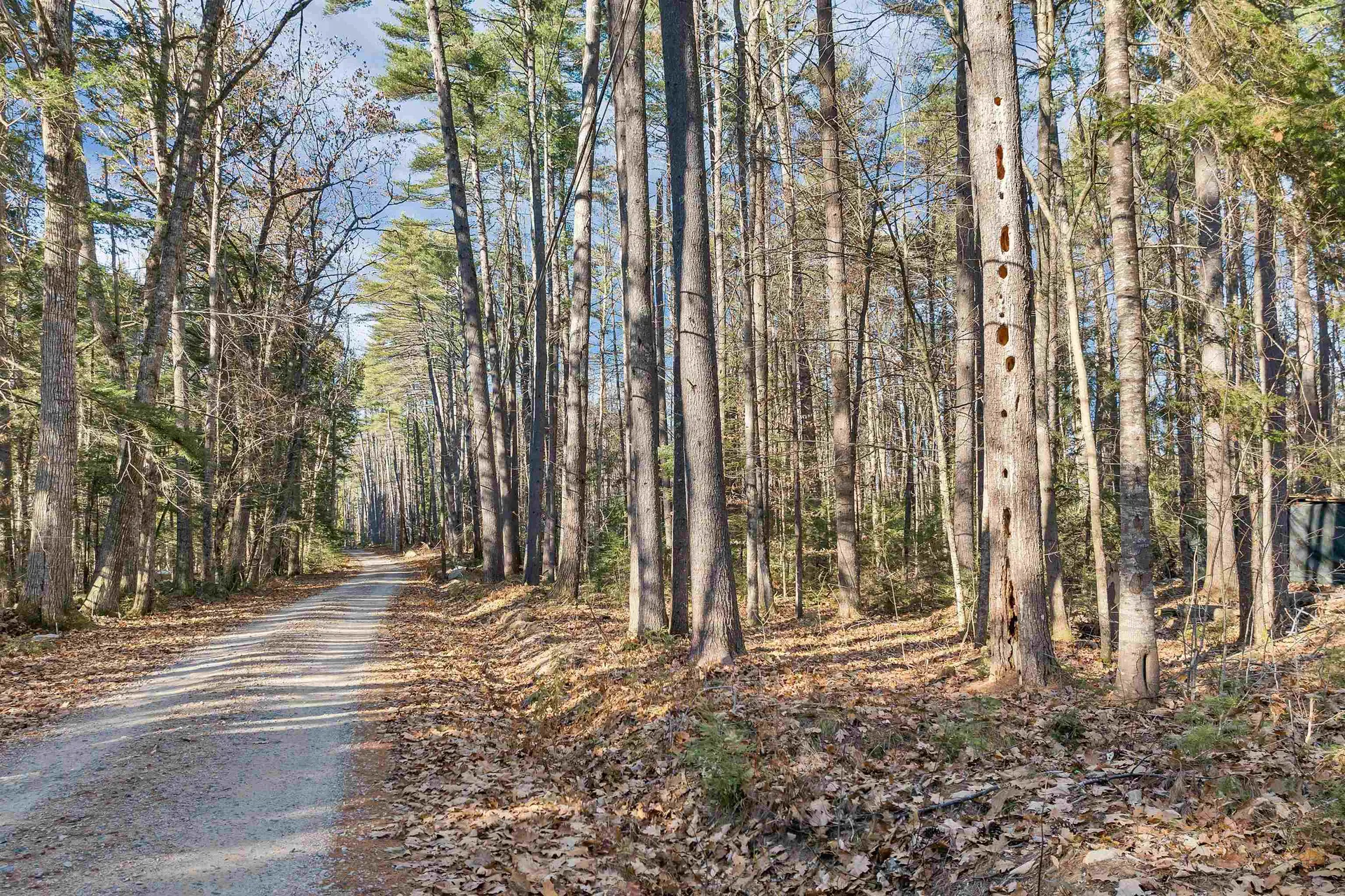 Camp Road Wolfeboro NH 03894