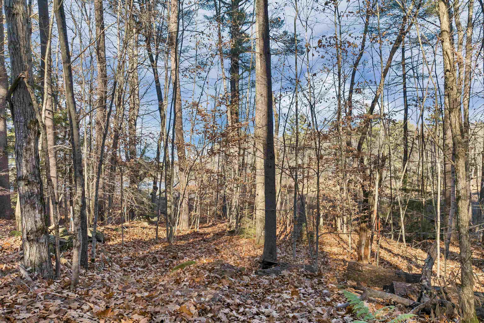 Camp Road Wolfeboro NH 03894