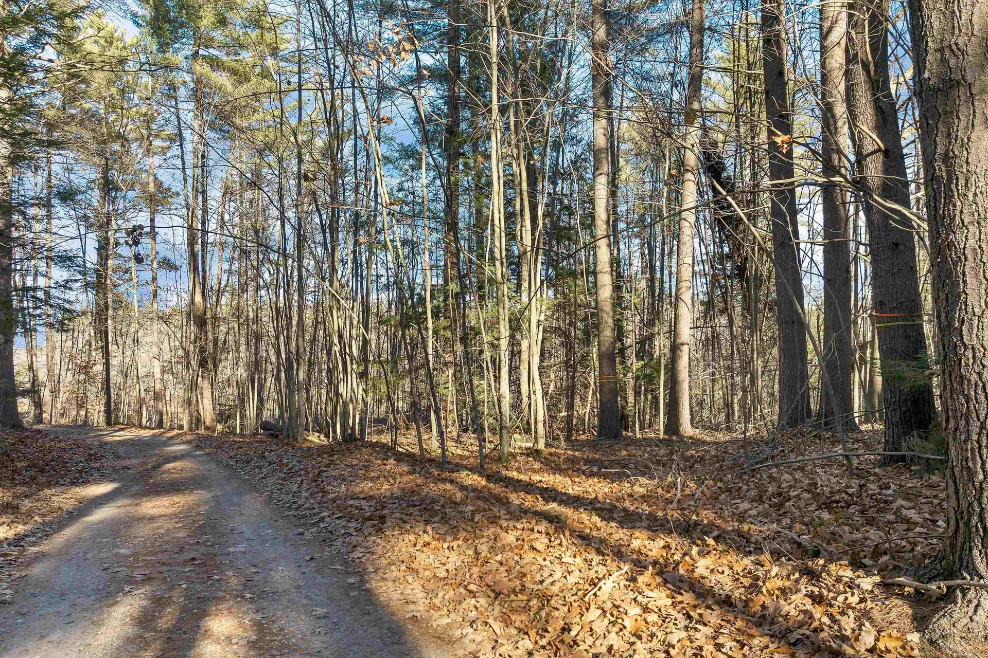 Camp Road Wolfeboro NH 03894