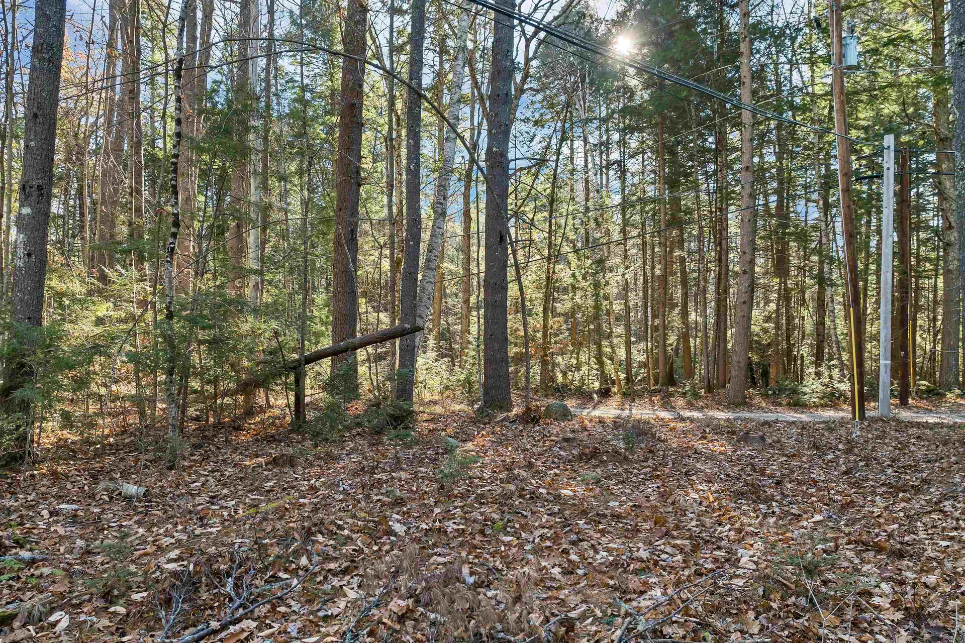 Camp Road Wolfeboro NH 03894