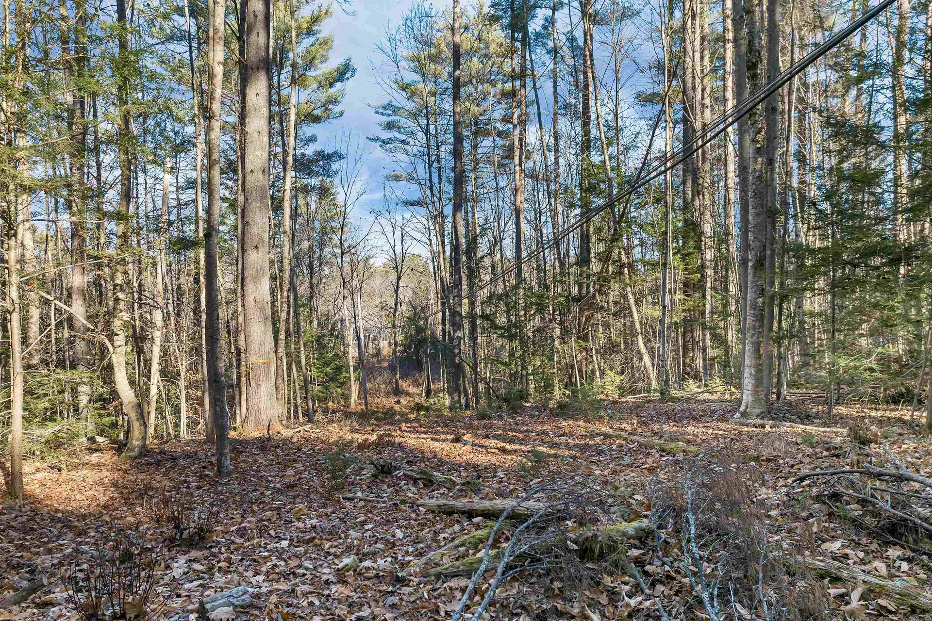 Camp Road Wolfeboro NH 03894