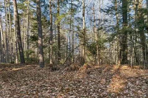 Camp Road Wolfeboro NH 03894