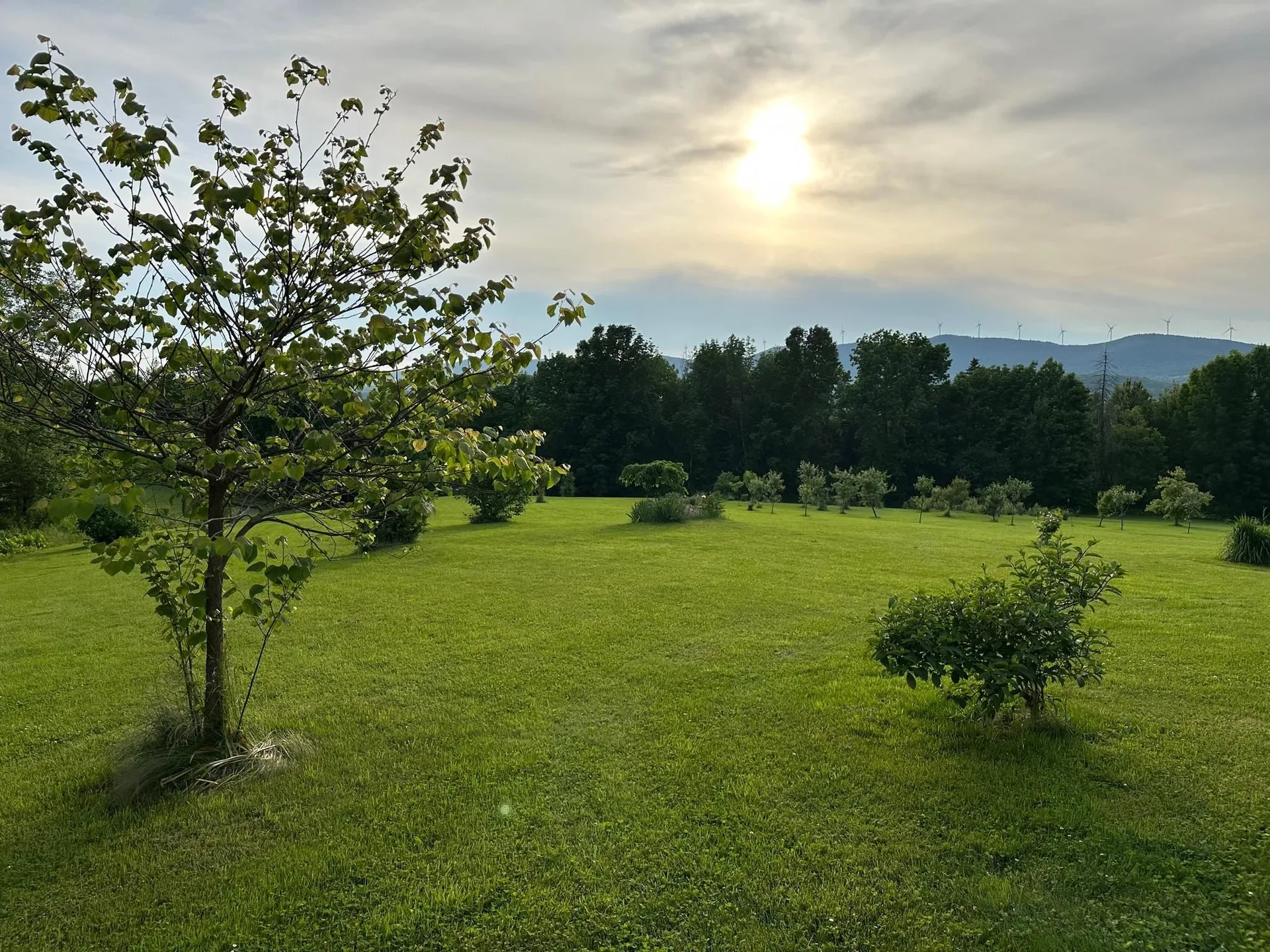 1090 Center Road Albany VT 05820