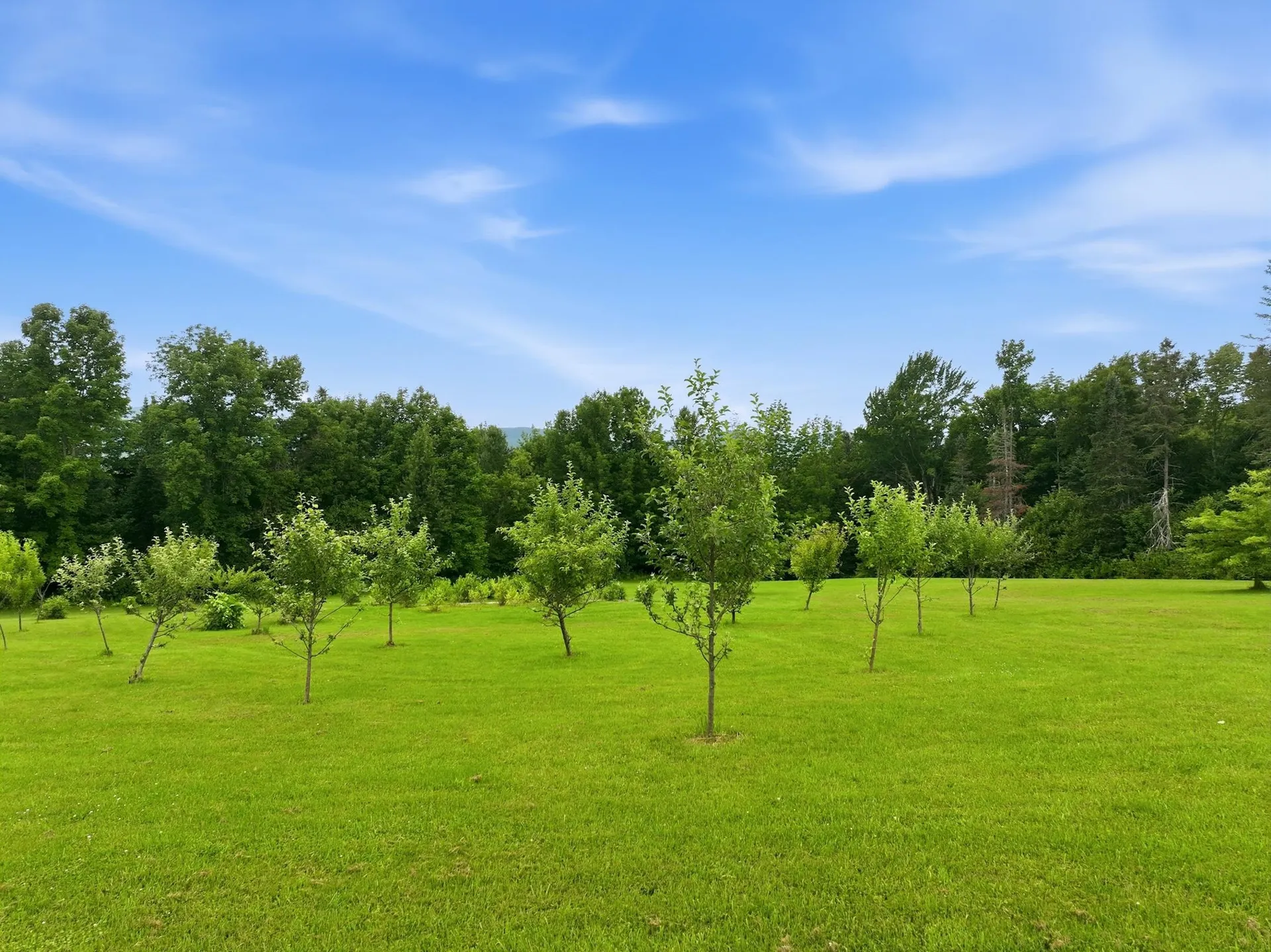 1090 Center Road Albany VT 05820