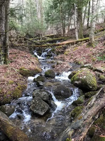 1090 Center Road Albany VT 05820