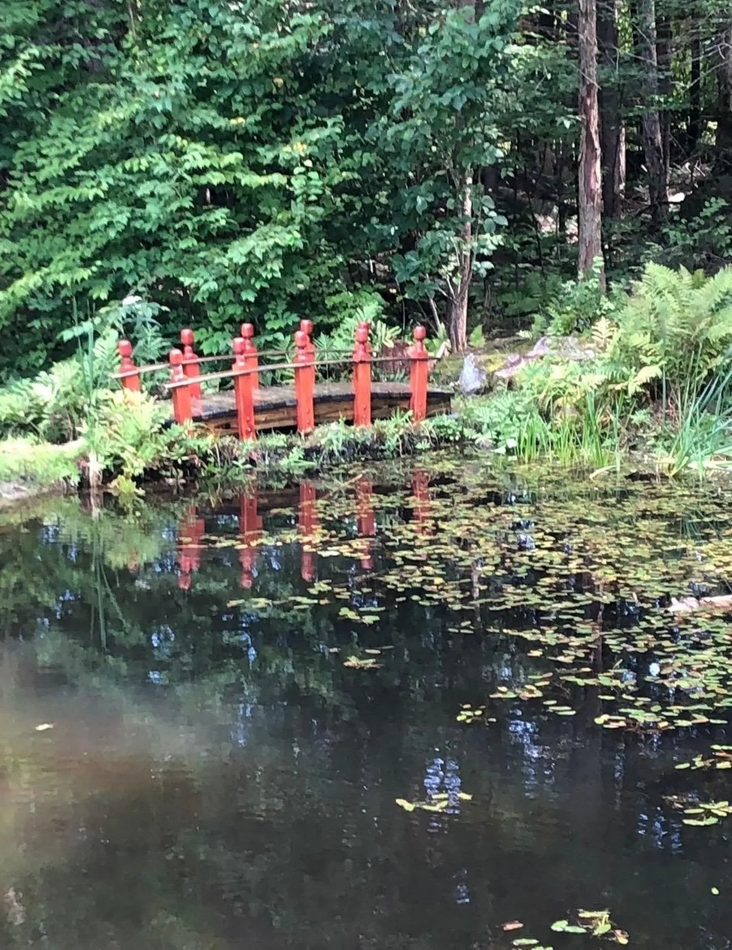 1481 Bennington Road Francestown NH 03043