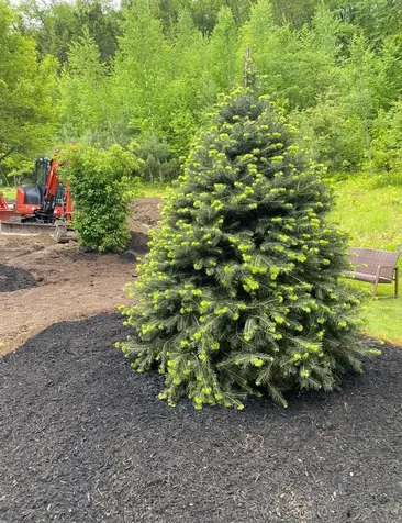 1481 Bennington Road Francestown NH 03043
