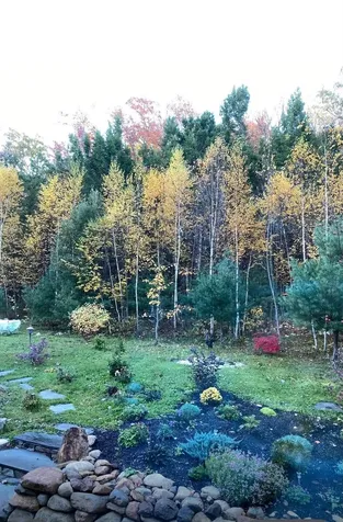 1481 Bennington Road Francestown NH 03043