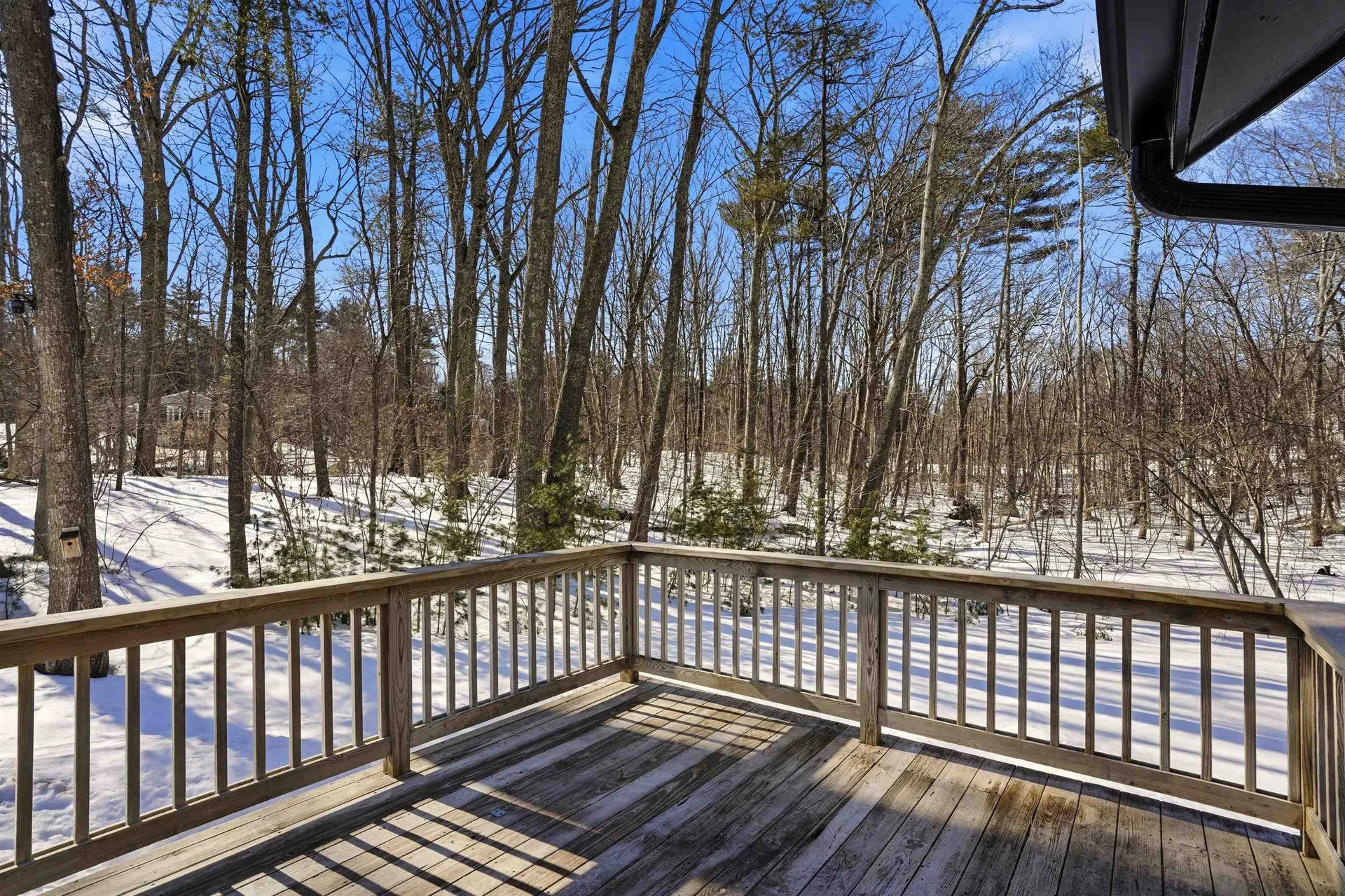 50 Cobbetts Pond Road Windham NH 03087