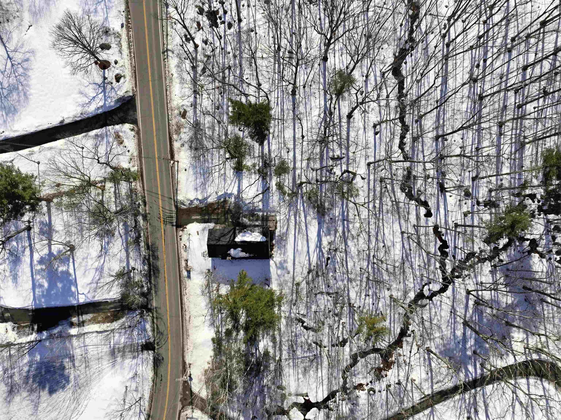 50 Cobbetts Pond Road Windham NH 03087