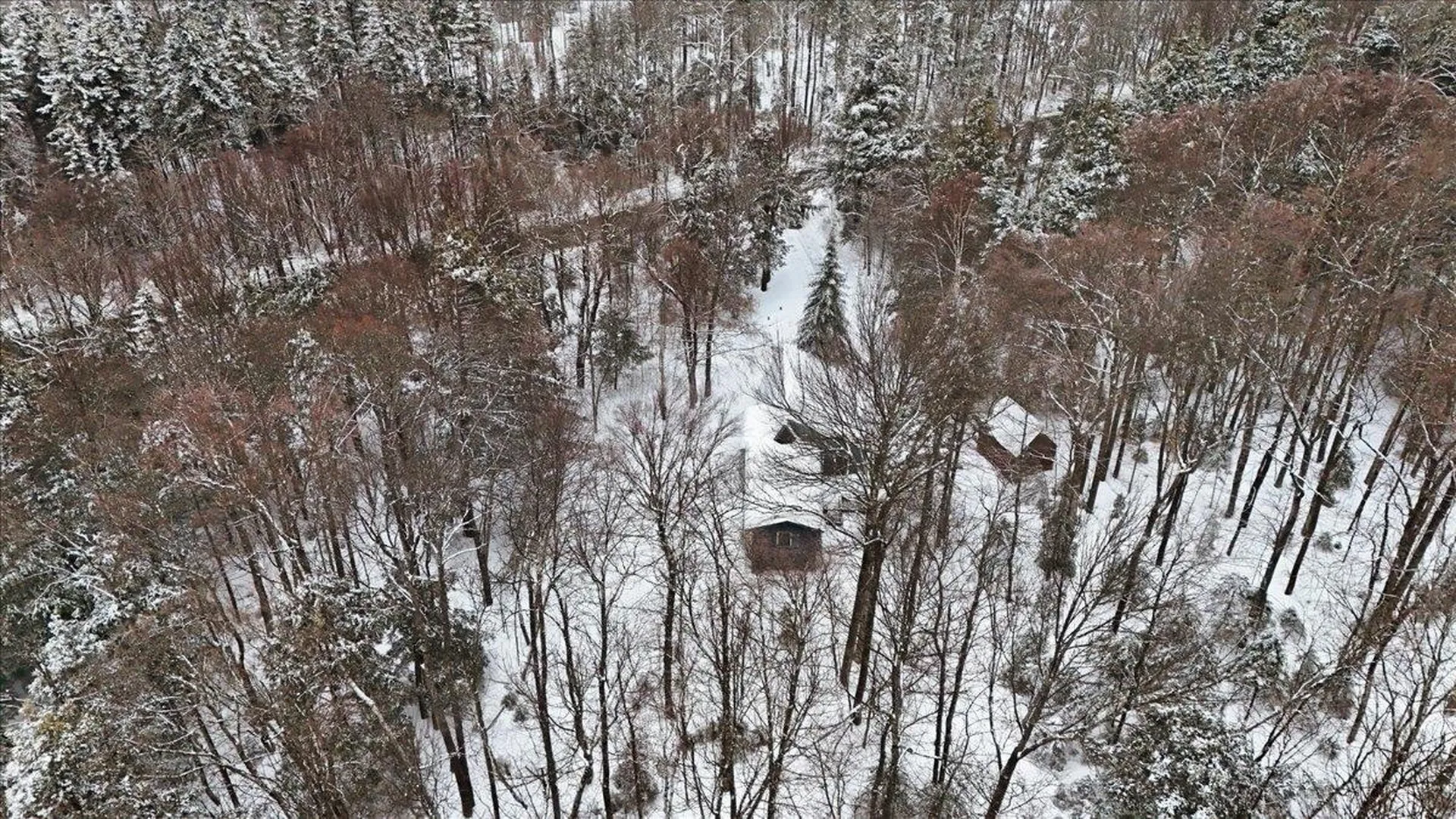 3185 Higley Hill Road Marlboro VT 05363