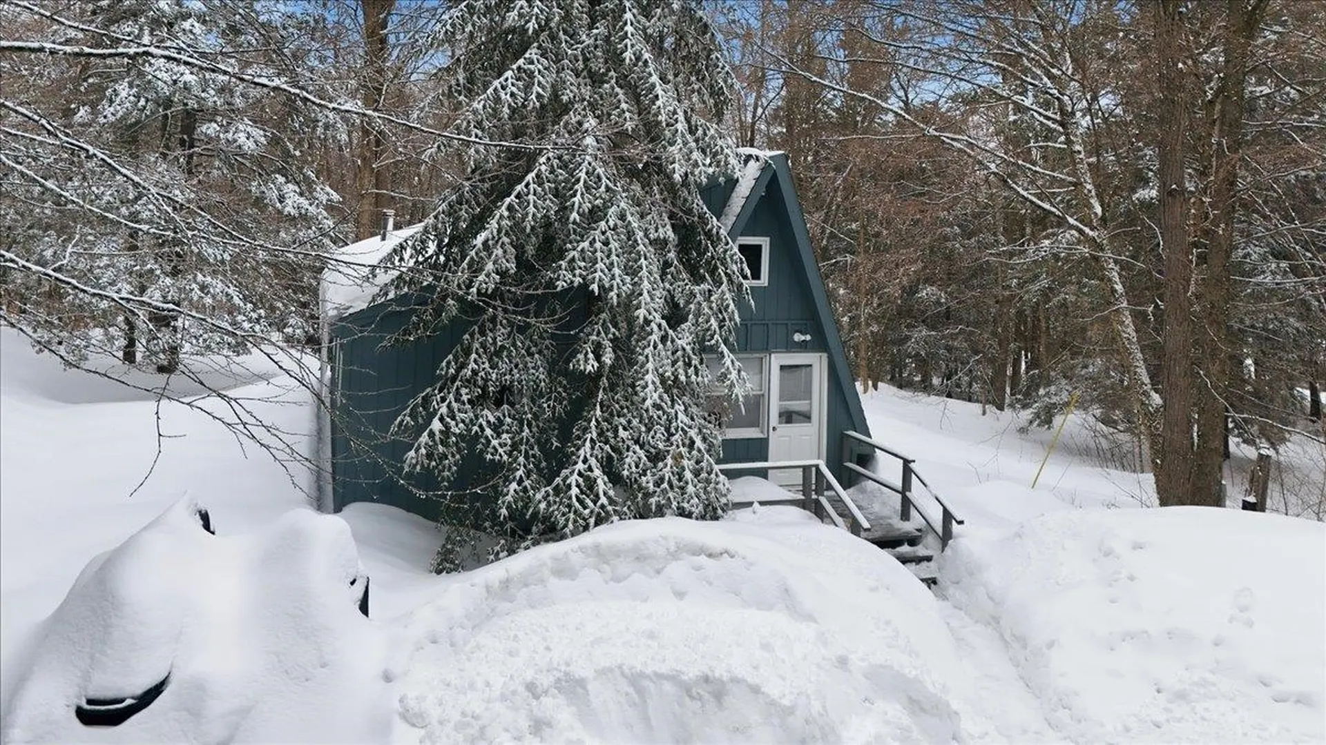 3185 Higley Hill Road Marlboro VT 05363