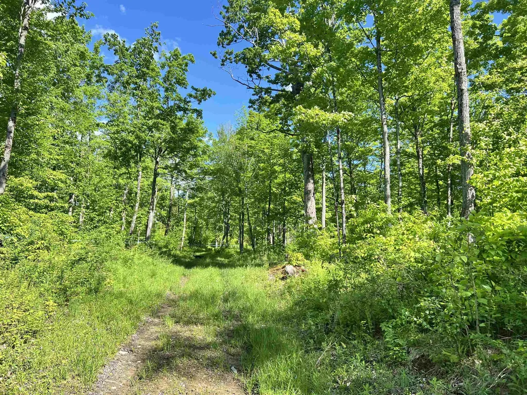 1036 Town Hill Road Wolcott VT 05680
