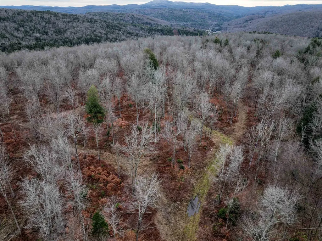 1036 Town Hill Road Wolcott VT 05680