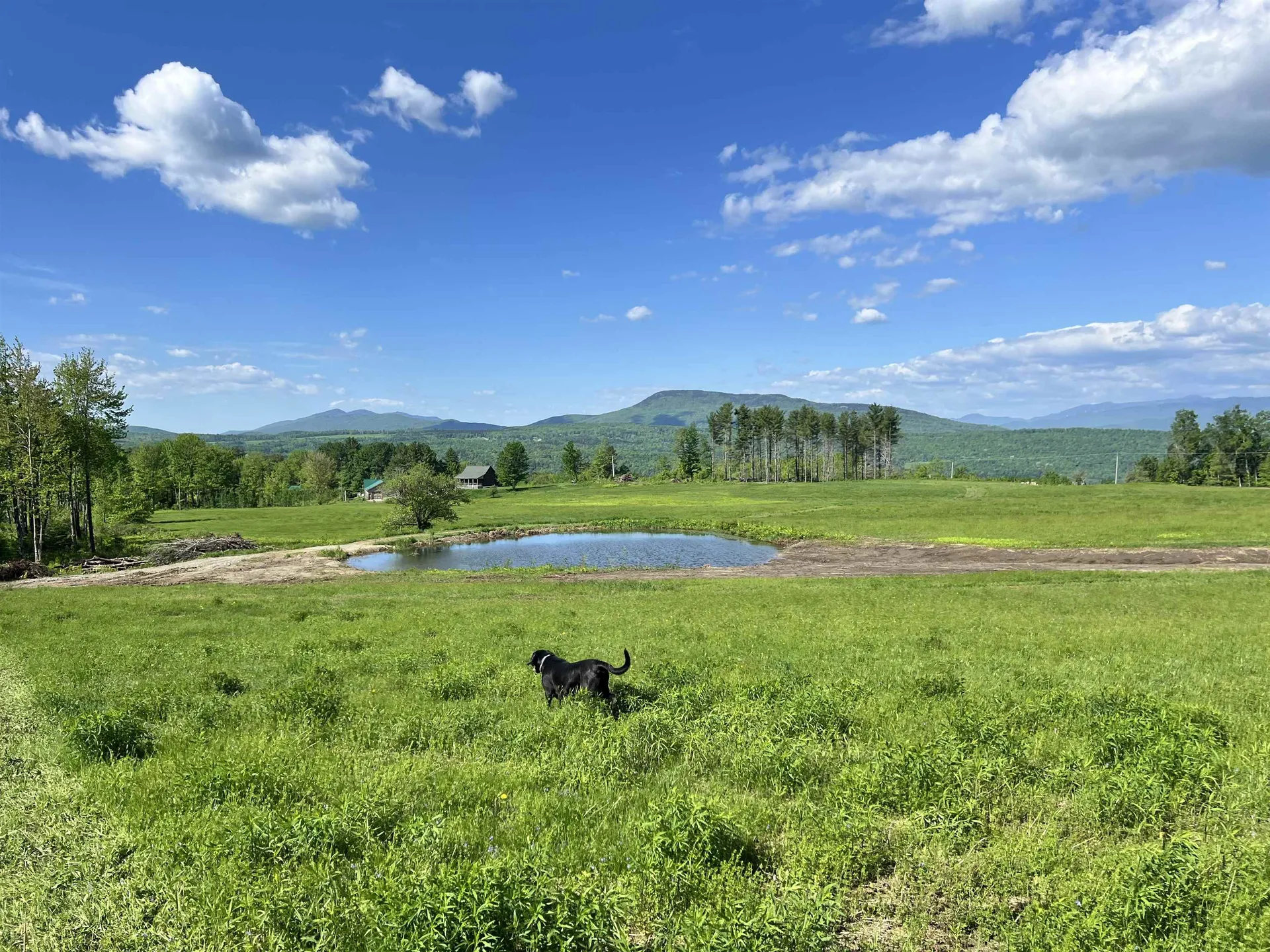 1036 Town Hill Road Wolcott VT 05680