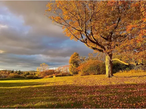 139 Southridge Road Shelburne VT 05482