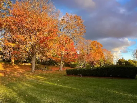 139 Southridge Road Shelburne VT 05482