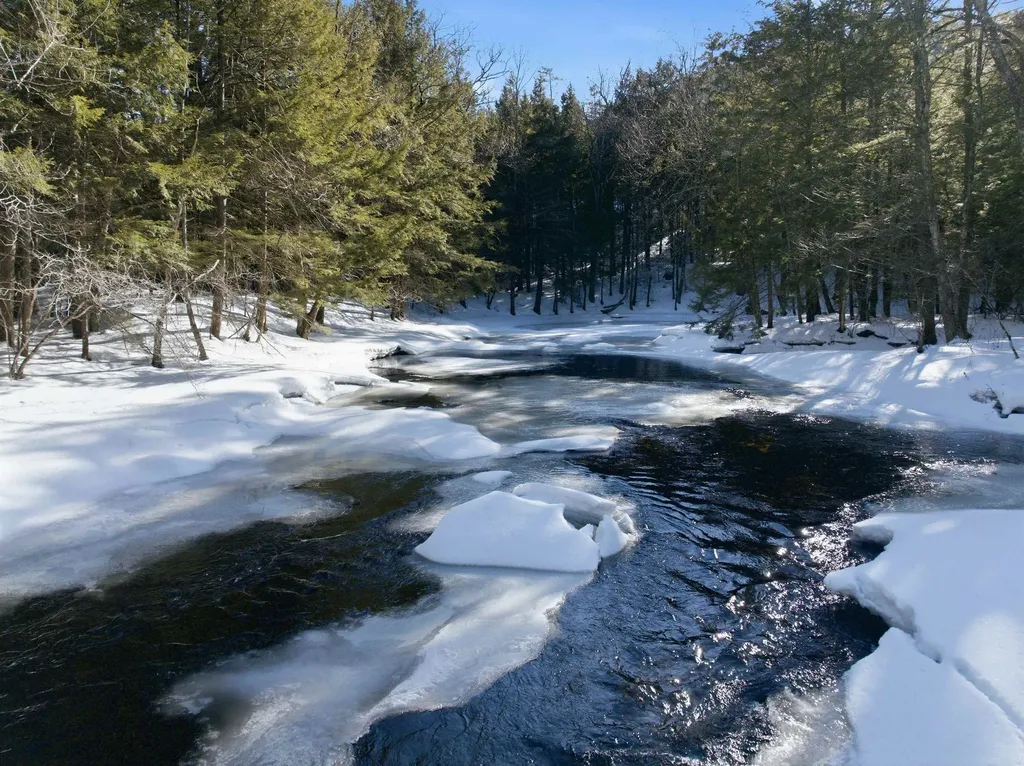 67 Morse Lane Warner NH 03278